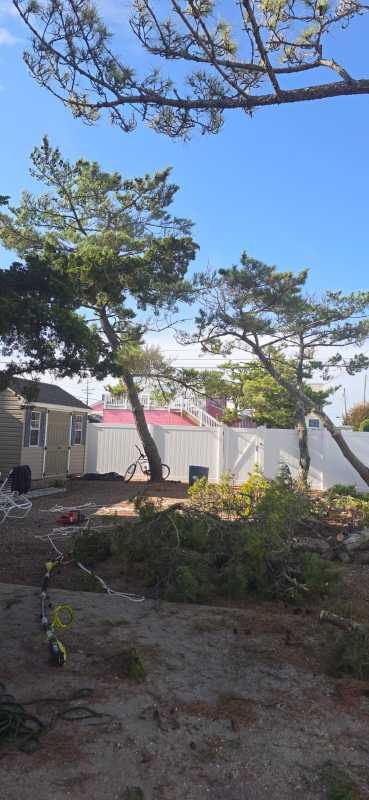 Sandoval Brothers Services LLC